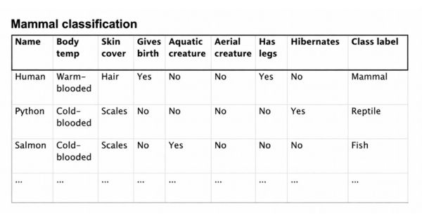 Mammal classification table
