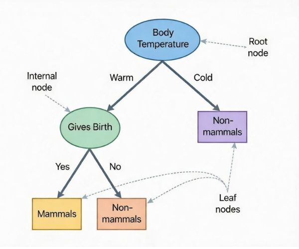 Decision tree for mammal classification